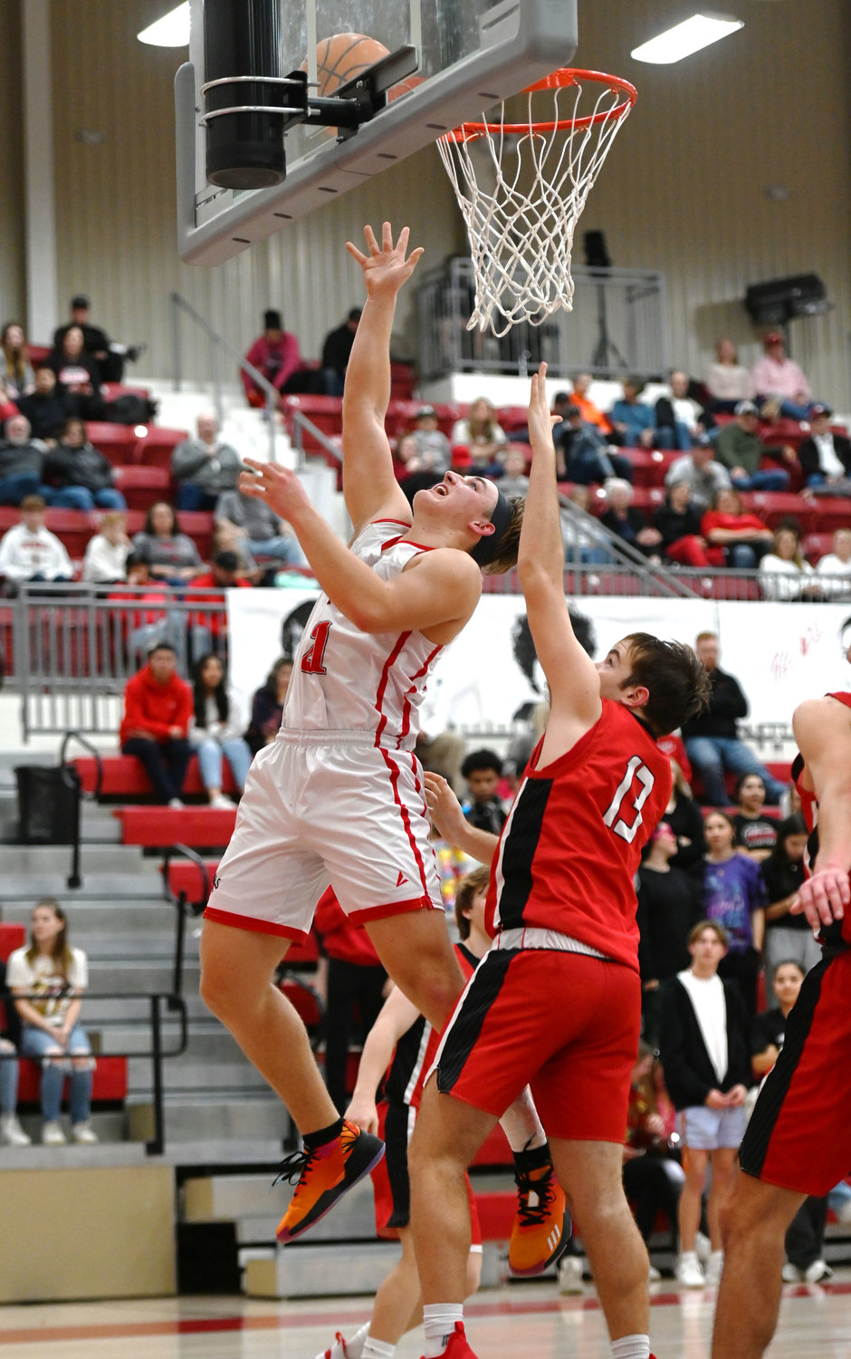 Dragons win the Heart Purcell Register